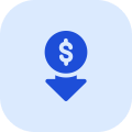 Efficiency Icon